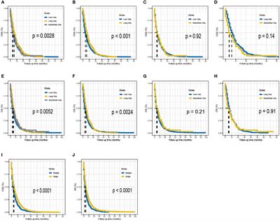 A population-based study of synchronous distant metastases and prognosis in patients with PDAC at initial diagnosis